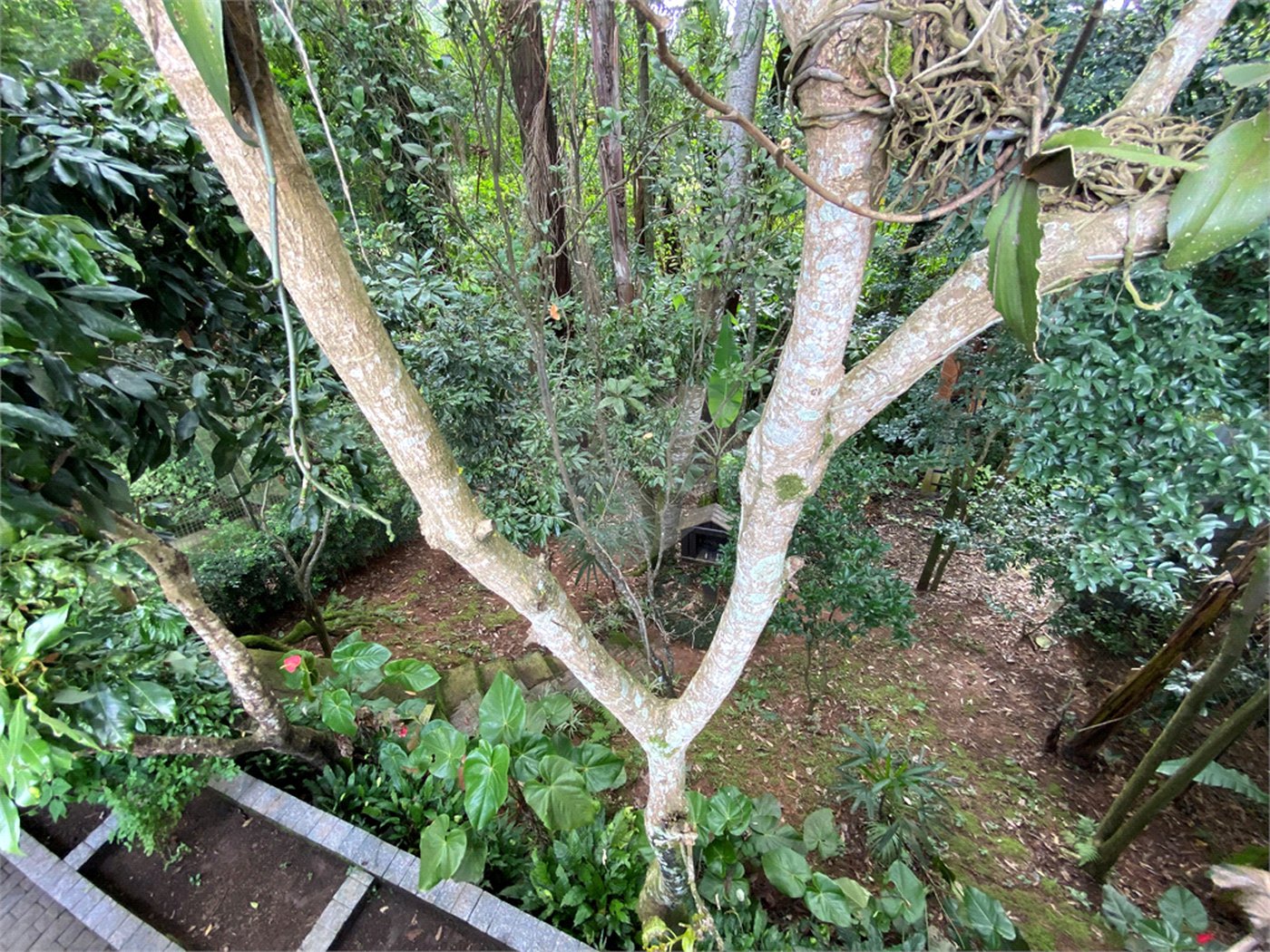 Sobrado à venda com 4 quartos, sendo 1 suíte, em Horto, São Paulo, SP