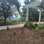 Sobrado para alugar com 3 quartos, sendo 1 suíte, em Roseira, Mairiporã, SP