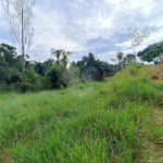 Terreno à venda em Residencial Reserva da Mata, Itapetininga, SP