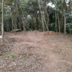 Loteamento à venda em Jardim Peri, São Paulo, SP