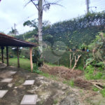 Casa à venda com 2 suítes em Vila Progresso, Itapetininga, SP