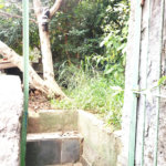 Sobrado à venda com 4 suítes em Vila Guilherme, São Paulo, SP