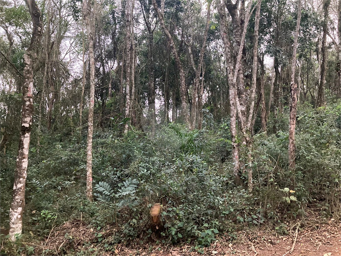 Terreno à venda no condomínio Alpes da Cantareira, Mairiporã - SP