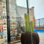 Triplex à venda com 4 quartos, sendo 2 suítes, em Parque Mandaqui, São Paulo, SP