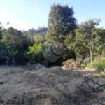 Terreno à venda em Taboão, São Roque, SP