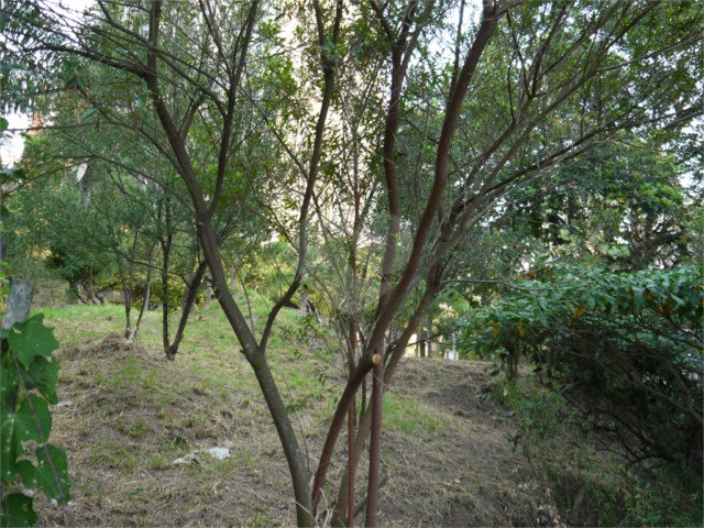 Terreno à venda em Jardim Petrópolis, São Paulo, SP