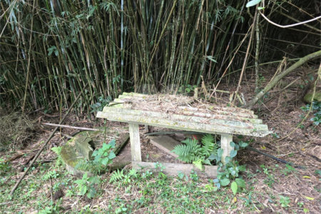 Sítio à venda com 6 quartos, sendo 5 suítes, em Área Rural de Itapetininga, Itapetininga, SP