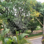 Apartamento para alugar com 3 quartos, sendo 1 suíte,  em Palmas do Tremembé, São Paulo, SP