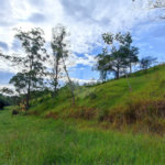 Terreno à venda em Jardim Monte Santo, Itapetininga, SP