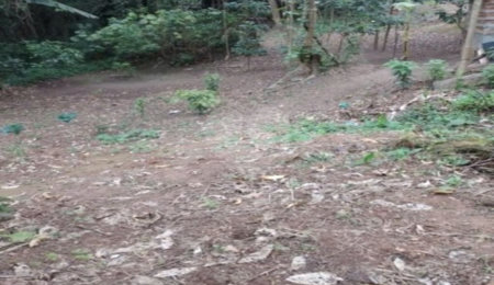 Terreno à venda em Jardim Ampliação, São Paulo, SP
