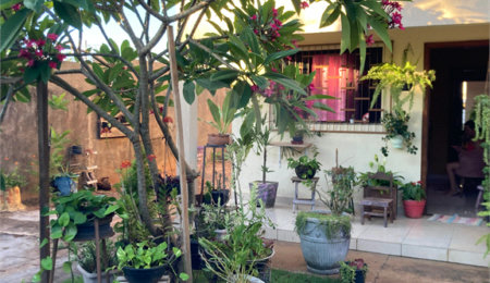 Casa à venda com 3 quartos em Parque dos Ipês I, Ponta Porã, MS