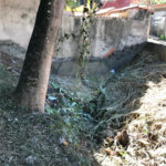 Terreno à venda em Horto, São Paulo, SP