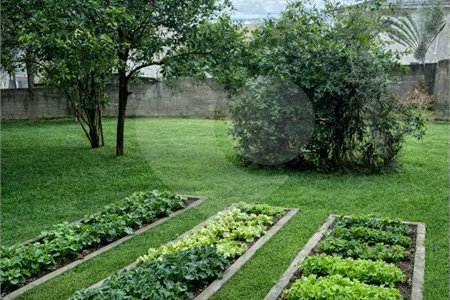 Chácara à venda com 3 quartos, sendo 1 suíte, em Bosque, Vinhedo, SP