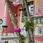 Apartamento à venda com 3 quartos em TREMEMBÉ, São Paulo, SP