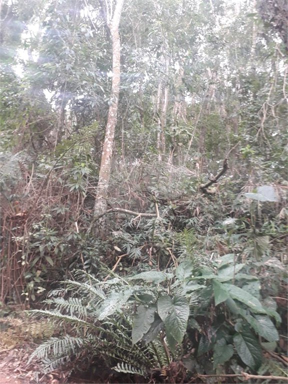 Terreno à venda em Suasalito, Mairiporã, SP