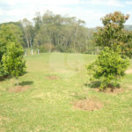 Chácara à venda com 3 quartos, sendo 1 suíte,  em Planalto Verde, São Roque, SP