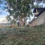 Terreno à venda em Monterrey, Louveira, SP