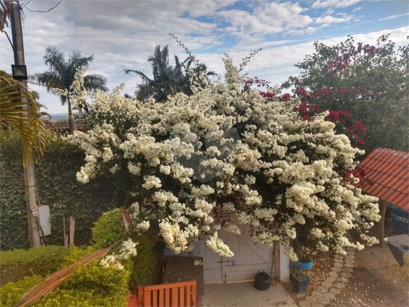 Chácara à venda com 5 quartos, sendo 1 suíte, em Vitória Régia, Atibaia, SP