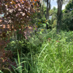 Terreno à venda em Roseira, Mairiporã, SP