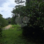 Terreno à venda no condomínio Campos de Mairiporã Gleba 1, Mairiporã - SP