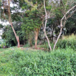 Terreno à venda no condomínio Fontes Felipe Silva, São Paulo - SP