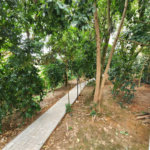 Apartamento à venda com 3 quartos, sendo 2 suítes,  em Jardim Arpoador, São Paulo, SP