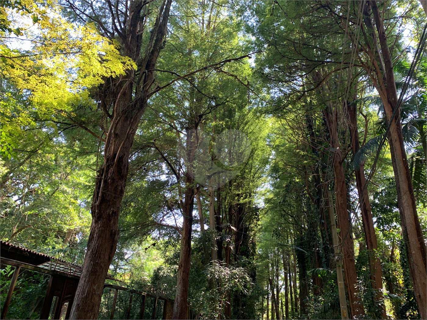 Terreno à venda no condomínio Chácara Flora, São Paulo - SP