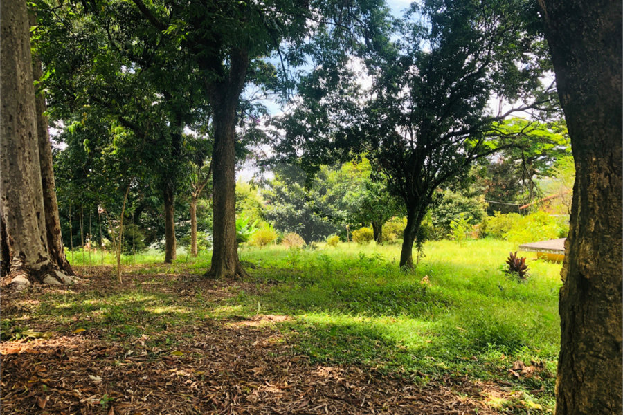 Terreno à venda em Tremembé, São Paulo, SP