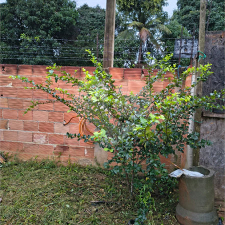 Terreno à venda em Campo Grande, Rio de Janeiro, RJ