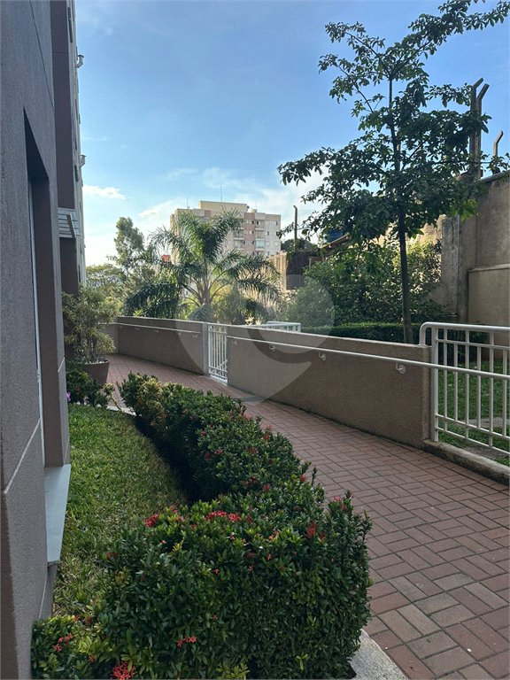 Apartamento à venda com 3 quartos, sendo 1 suíte,  em Mandaqui, São Paulo, SP