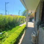 Sobrado à venda com 4 quartos, sendo 2 suítes, em Água Fria, São Paulo, SP
