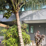 Casa à venda com 3 quartos, sendo 2 suítes,  em Rasa, Armação dos Búzios, RJ