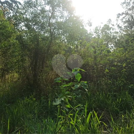 Terreno à venda em Bosque dos Eucalíptos, Atibaia, SP