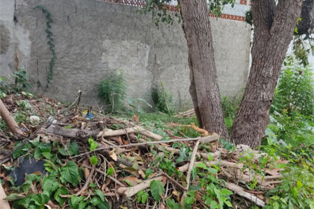 Terreno à venda em Vila Constança, São Paulo, SP