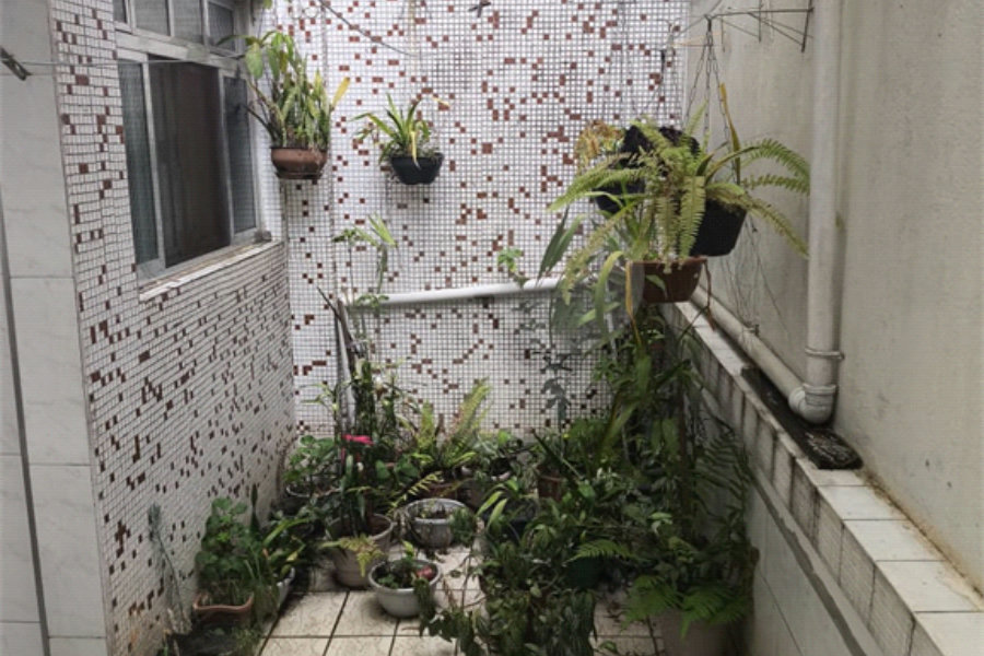 Apartamento à venda com 2 quartos em Vila Maria, São Paulo, SP
