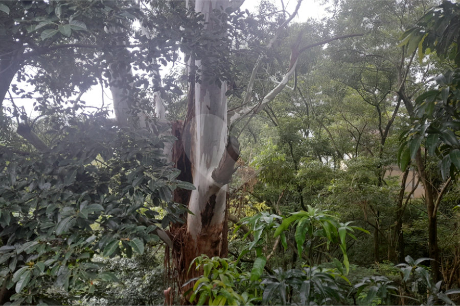 Sobrado à venda com 3 quartos, sendo 1 suíte, em Tremembé, São Paulo, SP