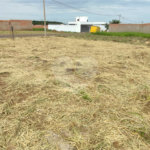 Terreno à Venda em São Carlos, no bairro Jardim Embaré