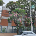 Apartamento para alugar com 1 quarto em Alto da Boa Vista, São Paulo, SP