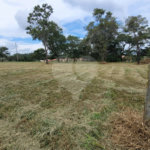 Loteamento Residencial no Condomínio Vila Pinhal do Broa.