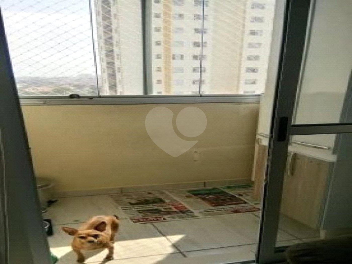 Excelente Apartamento de 02 dormitórios. Venha fazer uma Visita.