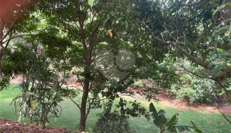 Terreno à venda em Jardim Nova América, Louveira, SP