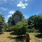 Excelente oportunidade no condomínio Vale das Laranjeiras, em Indaiatuba/SP. - R$ 1.850.000,00 - Terreno de 3.000 m²), com frente de 50 metros, proporcionando diversas possibilidades de projeto. O lote possui ótima localização dentro do condomínio, rodeado de natureza e com fácil acesso