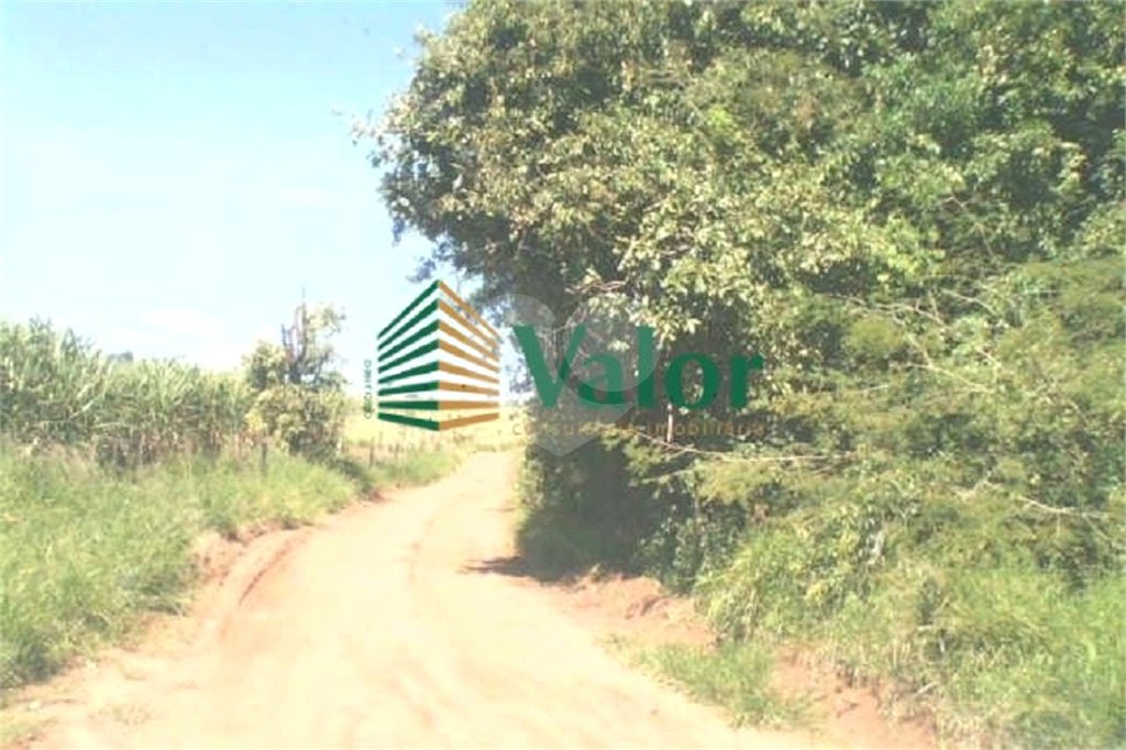 Sítio Estrada São Carlos Ribeirão - próximo São Carlos