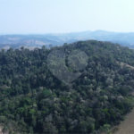 FAZENDA FORTALEZA, Caldas - MG