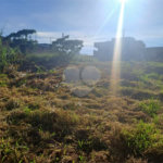 Terreno de 274 metros - Próximo ao Centro de Louveira