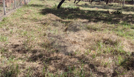 Terreno à venda em Loteamento Aracê de Santo Antonio II, São Carlos, SP