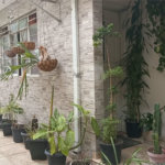 EXCELENTE PARA INVESTIMENTO E RENDA OU MORADIA!! JABAQUARA 03 CASAS E SALÃO