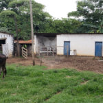 Sitio para venda.