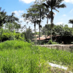 Casa Térrea à venda com 4 suítes em Alto da Boa Vista, São Paulo, SP
