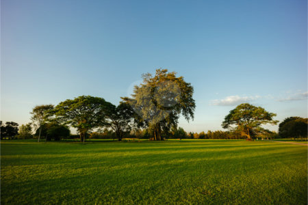 O Reserva Itanhangá nasce com um paisagismo exuberante e já formado, onde o replantio manterá a sensação, a paisagem e a estética que a propriedade proporciona atualmente. O empreendimento está em uma ótima localização, com acesso através de uma ampla avenida, junto ao Helvetia e seus campos de polo